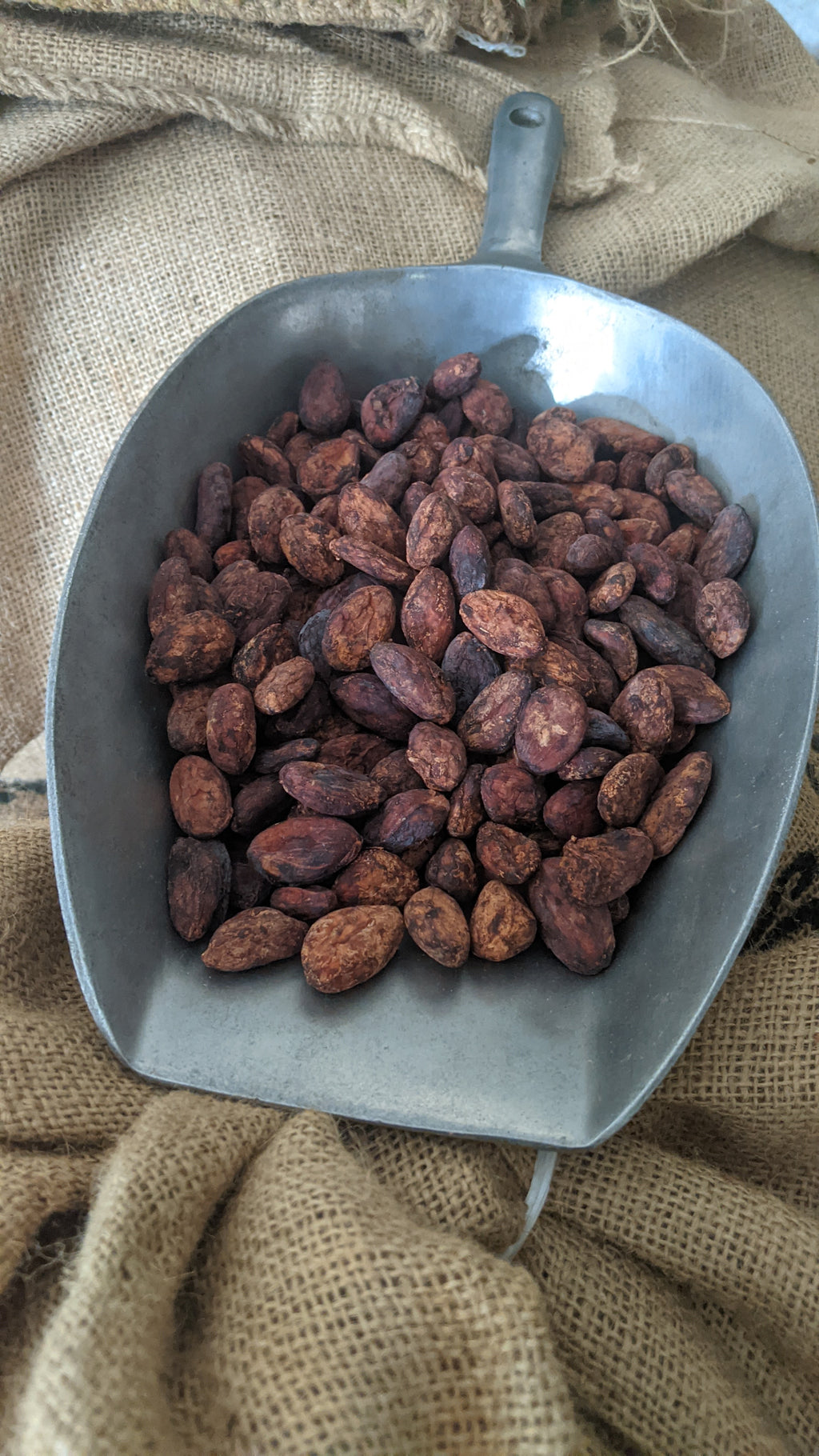 Cacao - Chuncho