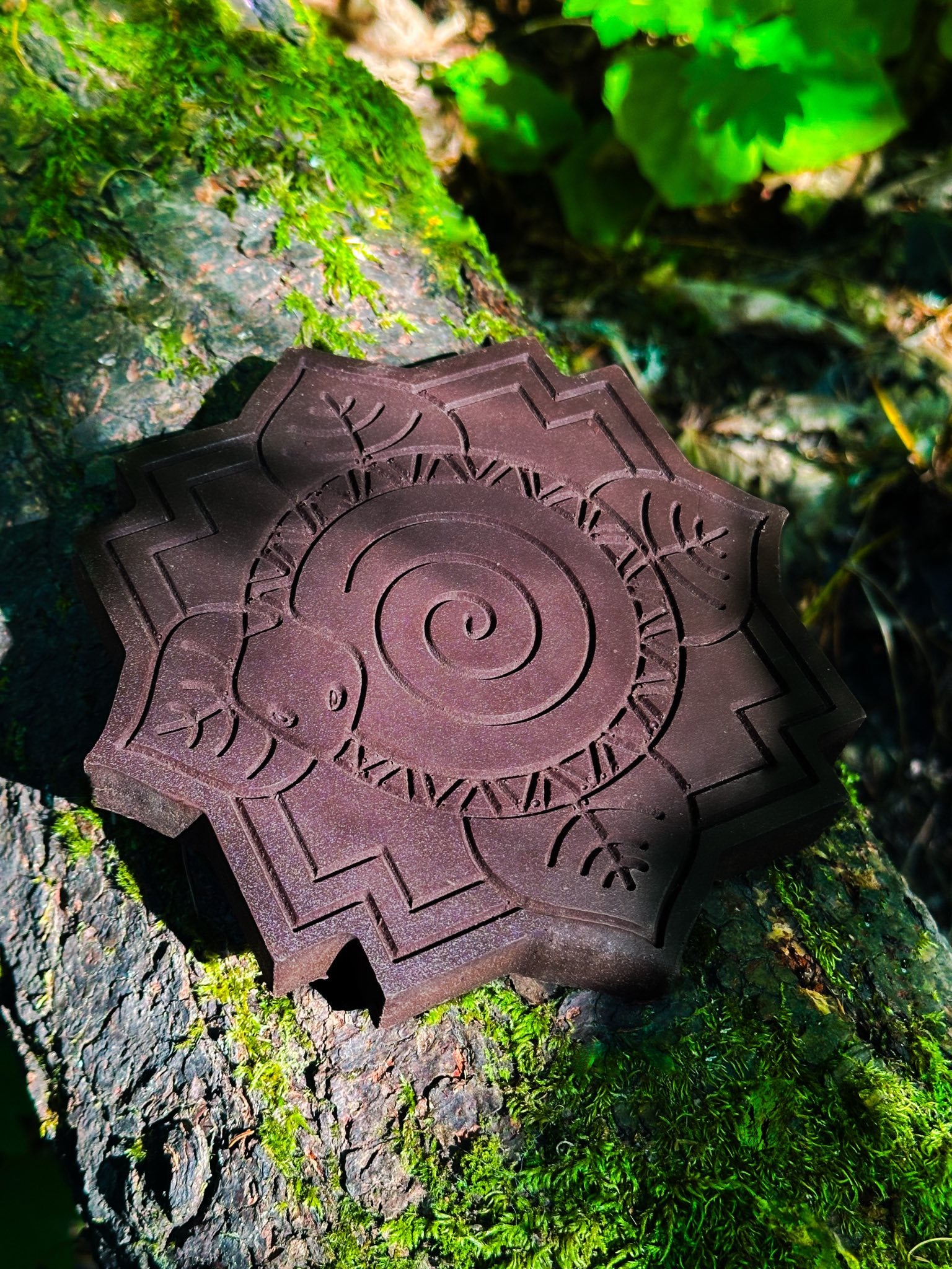 Cacao