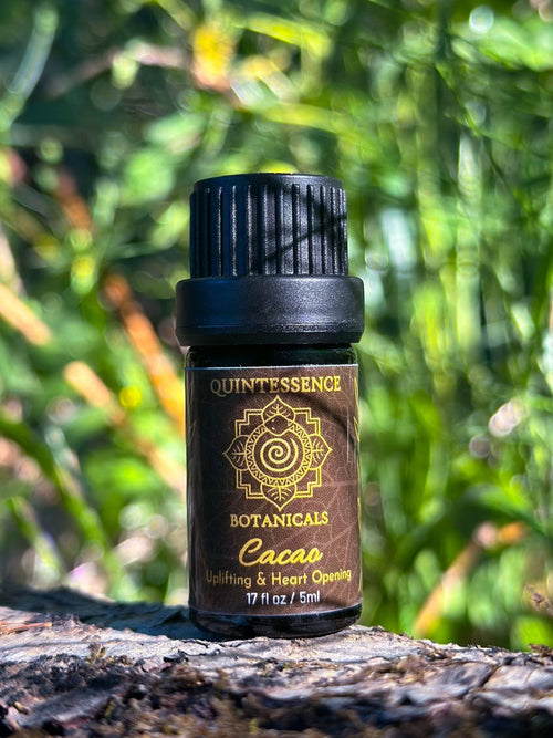 Cacao Oil