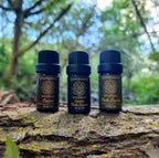 Cacao & Palo Santo Oil